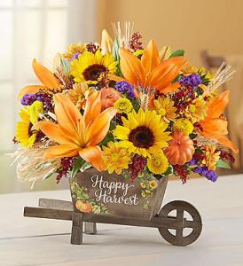 Happy Harvest Wheelbarrow – Blooming Designs By Michelle, Oakdale MN
