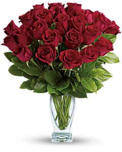 ROSE CLASSIQUE – Blooming Designs By Michelle, Oakdale MN