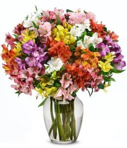 RAINBOW ALSTROEMERIA BOUQUET – Blooming Designs By Michelle, Oakdale MN