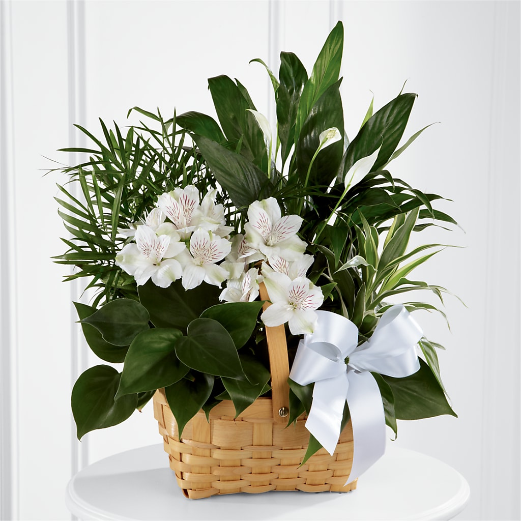 Peace & Serenity Dishgarden – Blooming Designs By Michelle, Oakdale MN