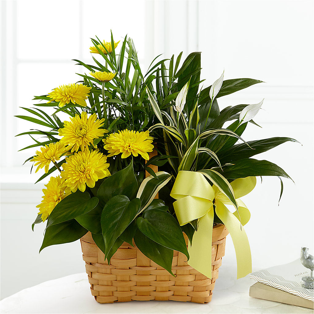 Loving Light Dishgarden – Blooming Designs By Michelle, Oakdale MN