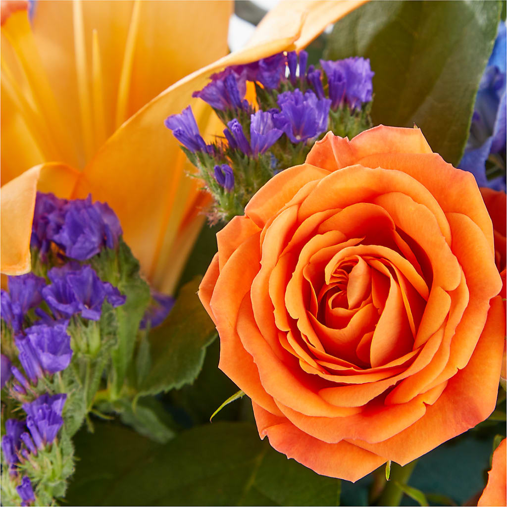 Radiant Citrus Box Bouquet – Blooming Designs By Michelle, Oakdale MN