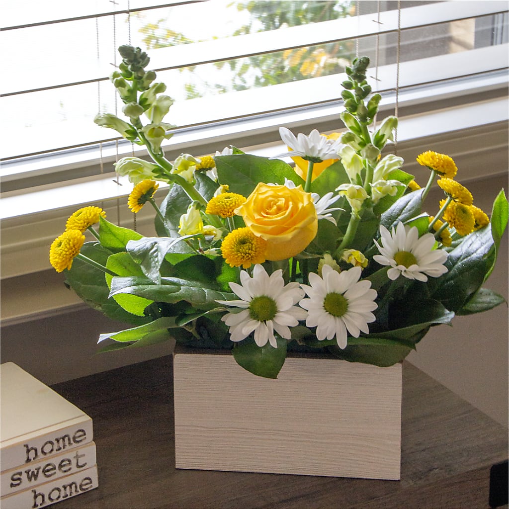 Sun Salutation Box Bouquet – Blooming Designs By Michelle, Oakdale MN