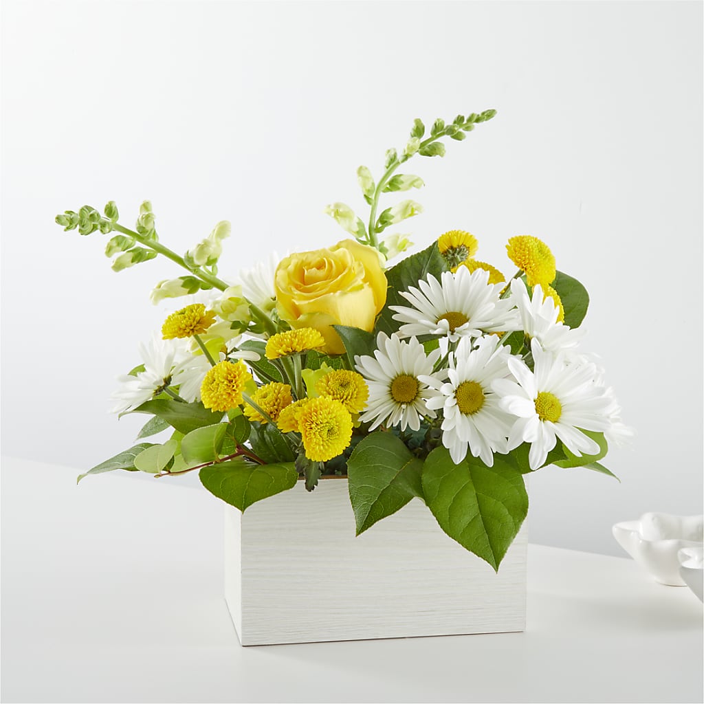 Sun Salutation Box Bouquet – Blooming Designs By Michelle, Oakdale MN