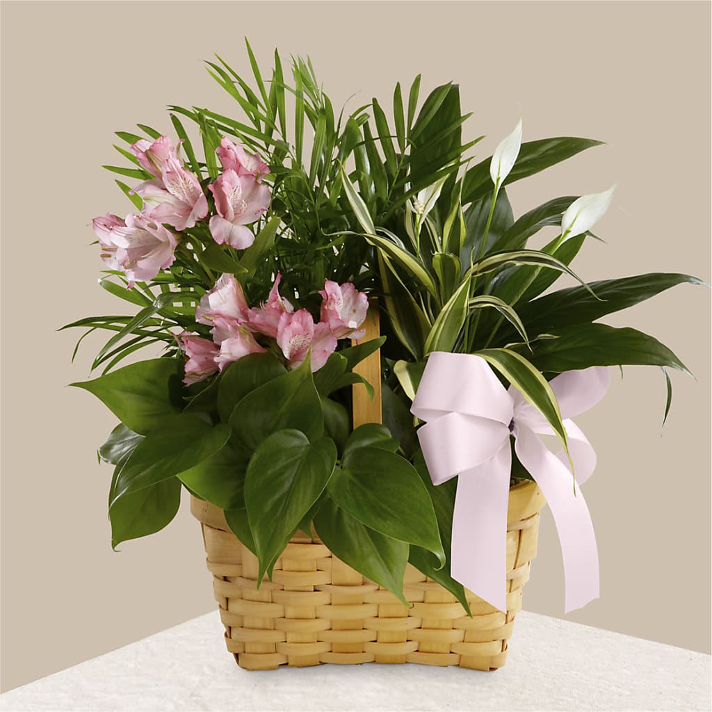 Living Spirit Dishgarden – Blooming Designs By Michelle, Oakdale MN