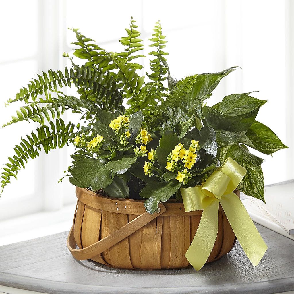 Always Dear Dishgarden – Blooming Designs By Michelle, Oakdale MN