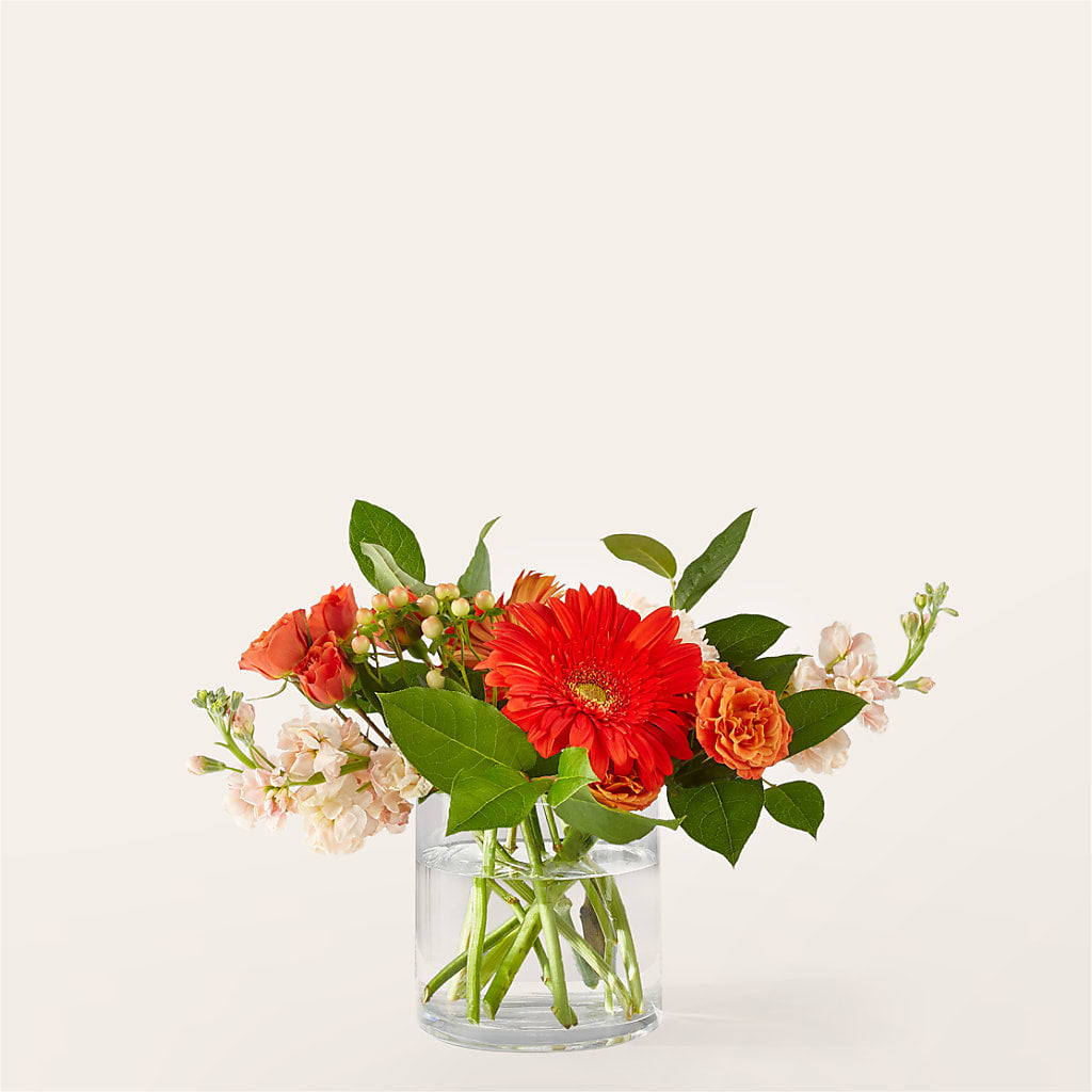 Paloma Please Bouquet – Blooming Designs By Michelle, Oakdale MN