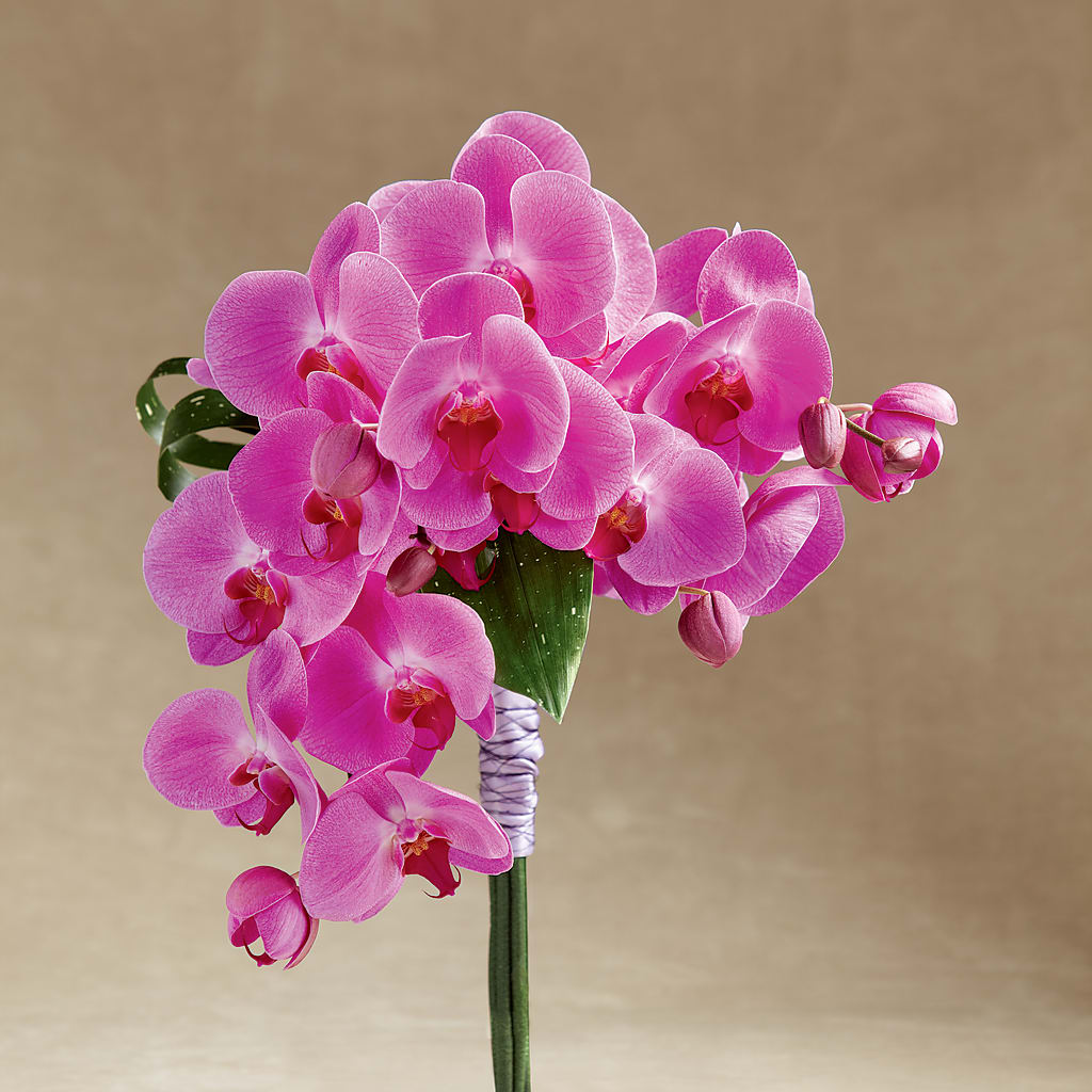 Glorious Bouquet – Blooming Designs By Michelle, Oakdale MN