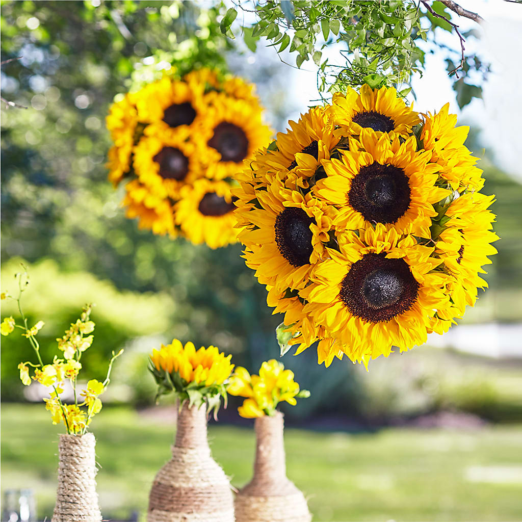 Sublime Garden Hanging Arrangement – Blooming Designs By Michelle, Oakdale MN