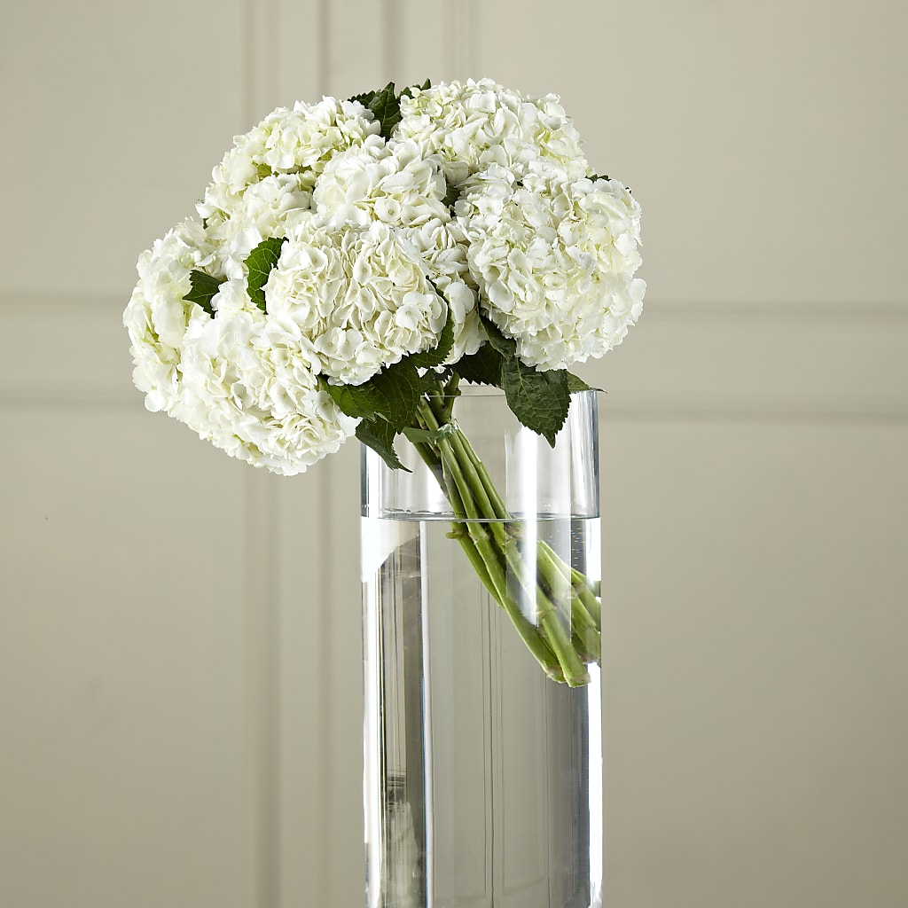 White Hydrangea Hand-Tied Bouquet – Blooming Designs By Michelle, Oakdale MN