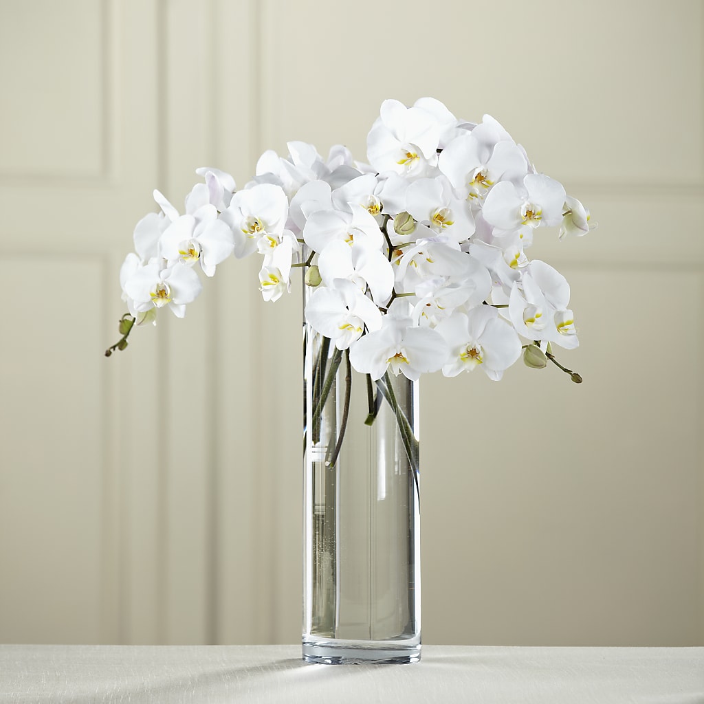 White Phalaenopsis Bouquet – Blooming Designs By Michelle, Oakdale MN
