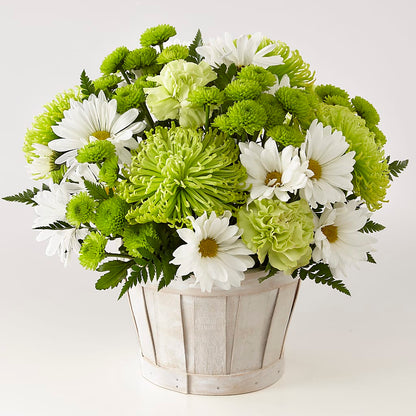 Lucky Charm Basket (Standard) –  Blooming Designs By Michelle, Oakdale MN