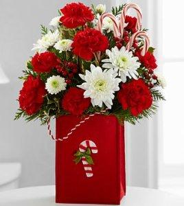 Christmas Candy Cane Cheer –  Blooming Designs By Michelle, Oakdale MN