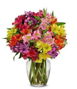 RAINBOW ALSTROEMERIA BOUQUET –  Blooming Designs By Michelle, Oakdale MN