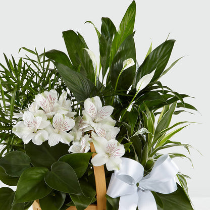 Peace & Serenity Dishgarden –  Blooming Designs By Michelle, Oakdale MN