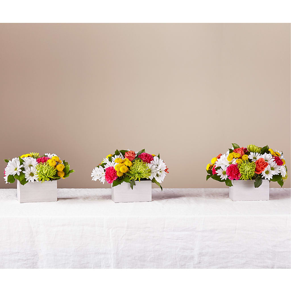 Sorbet Bouquet –  Blooming Designs By Michelle, Oakdale MN