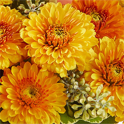 Peachy Pumpkin –  Blooming Designs By Michelle, Oakdale MN