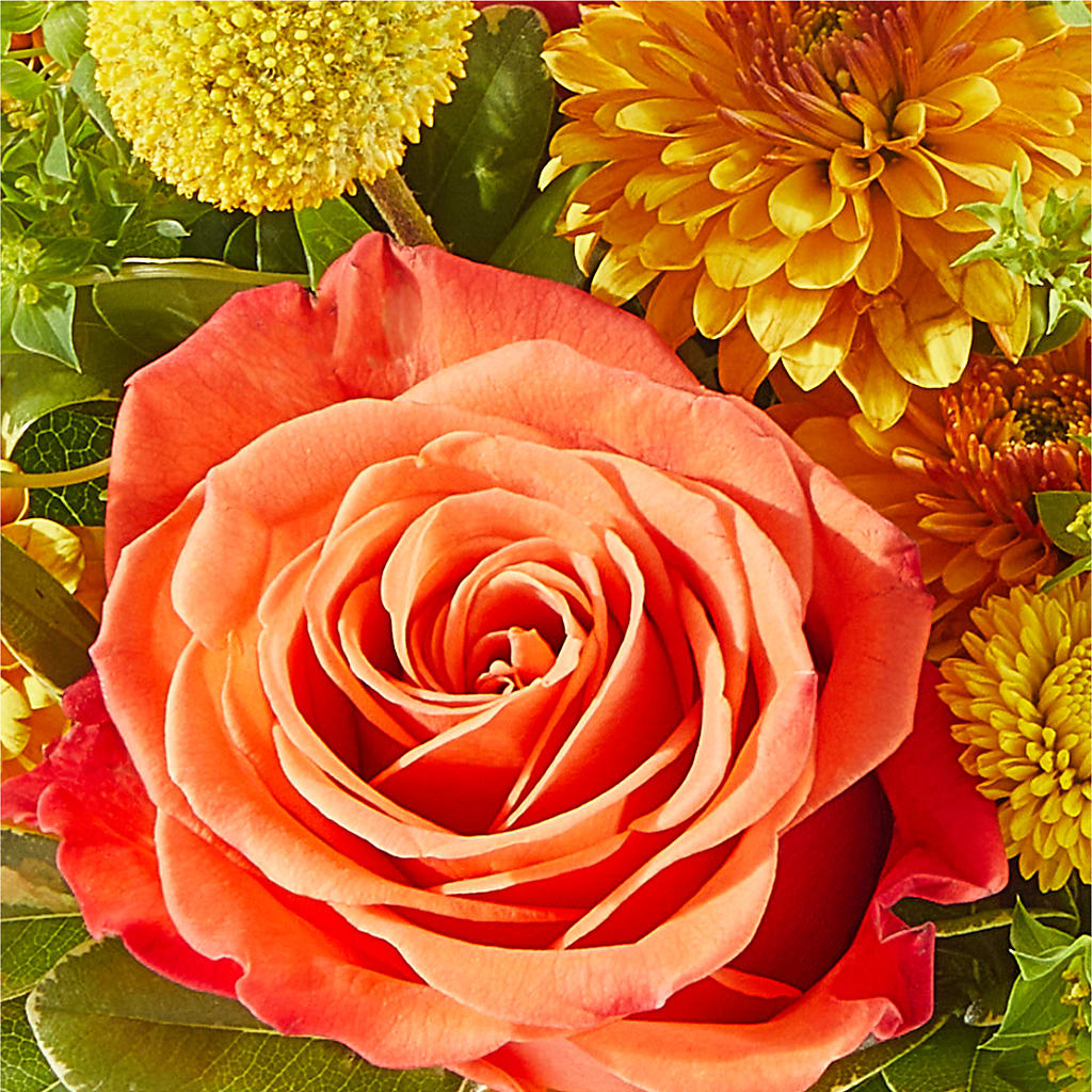 Gourdgeous Pumpkin –  Blooming Designs By Michelle, Oakdale MN