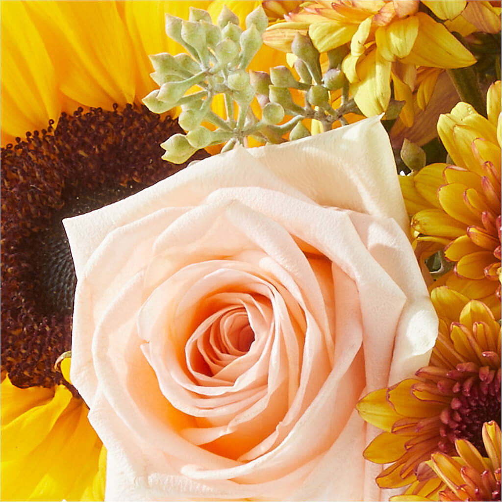 Pumpkin to Talk About Bouquet –  Blooming Designs By Michelle, Oakdale MN