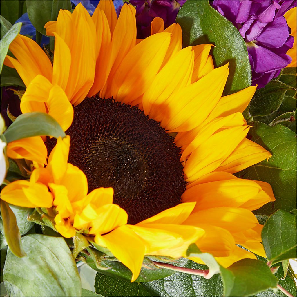 Catching Rays Bouquet –  Blooming Designs By Michelle, Oakdale MN