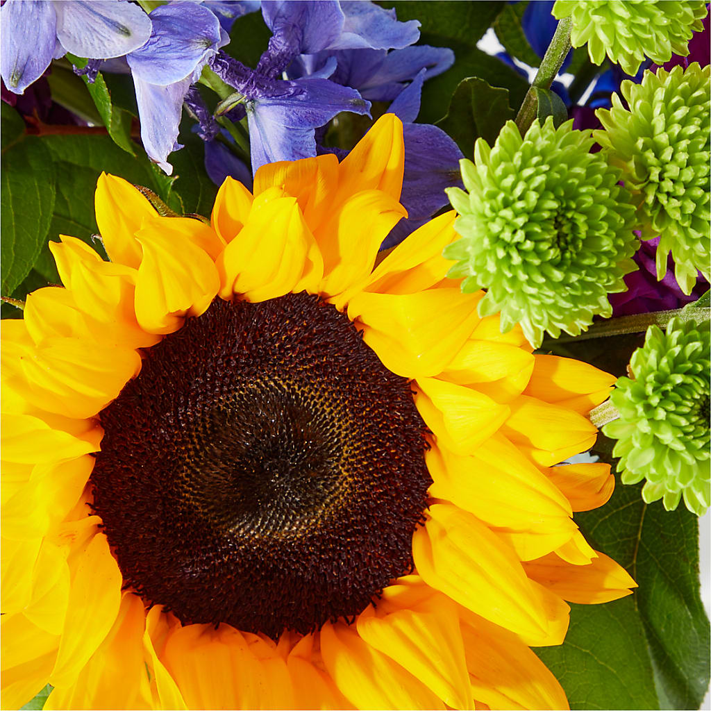 Catching Rays Bouquet –  Blooming Designs By Michelle, Oakdale MN