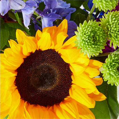 Catching Rays Bouquet –  Blooming Designs By Michelle, Oakdale MN