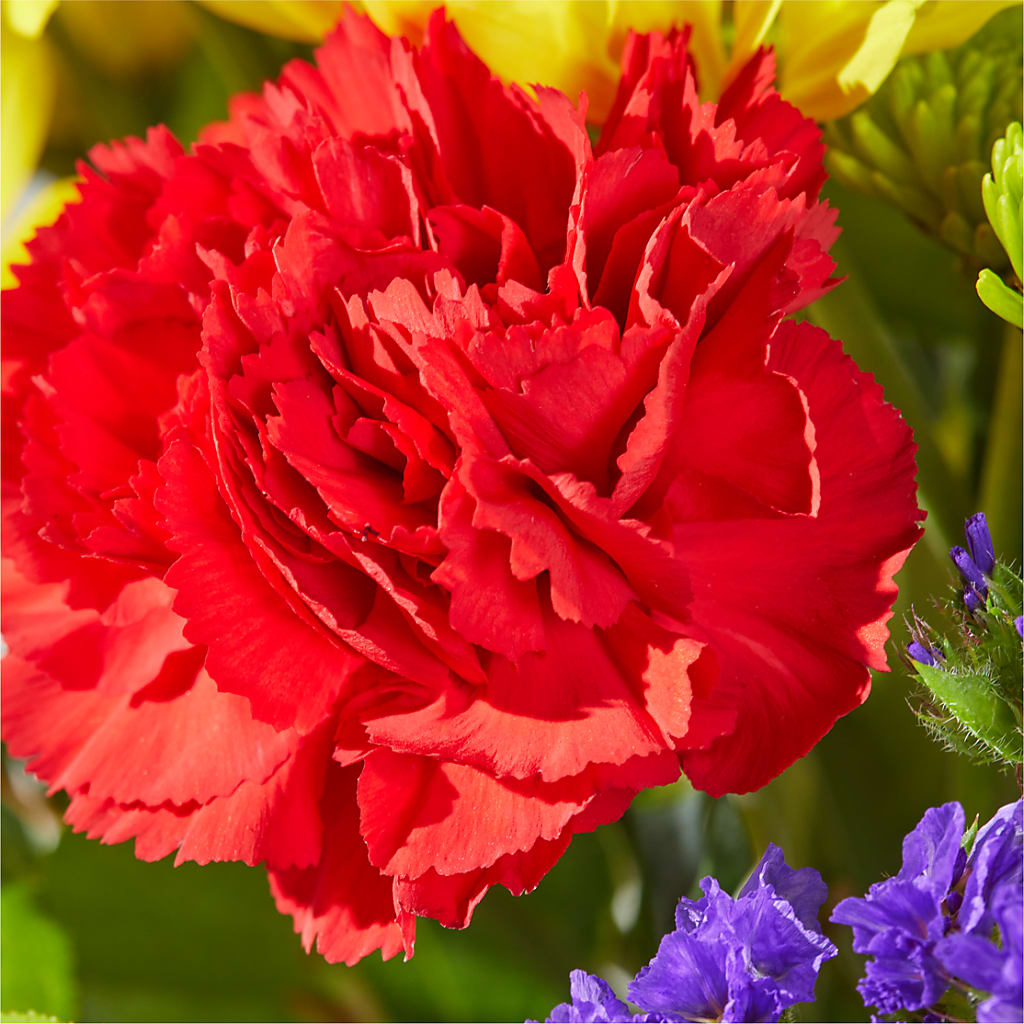 Brighter Days Bouquet –  Blooming Designs By Michelle, Oakdale MN
