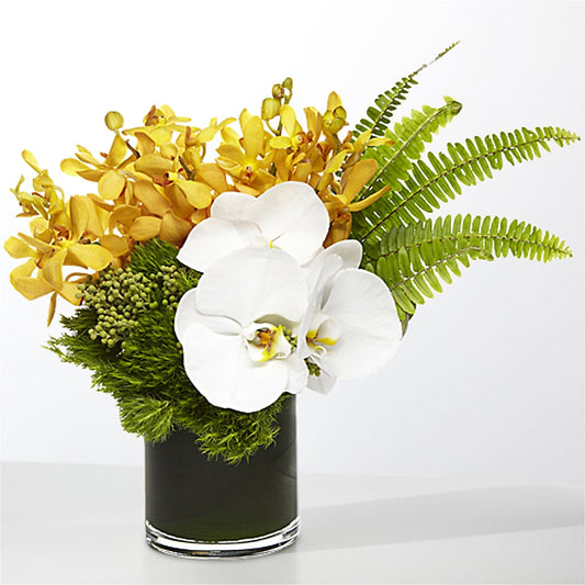 The Tropics –  Blooming Designs By Michelle, Oakdale MN