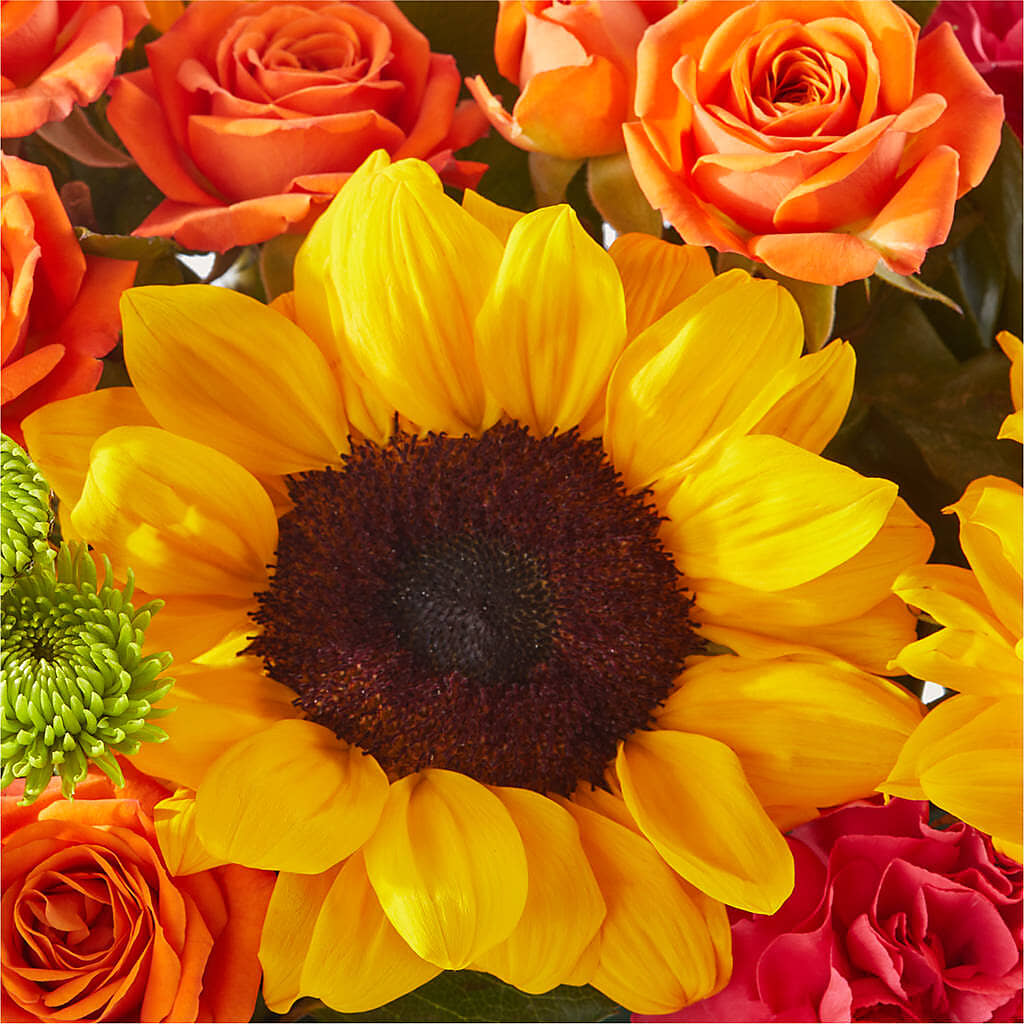 Sun-drenched Blooms Box Bouquet –  Blooming Designs By Michelle, Oakdale MN
