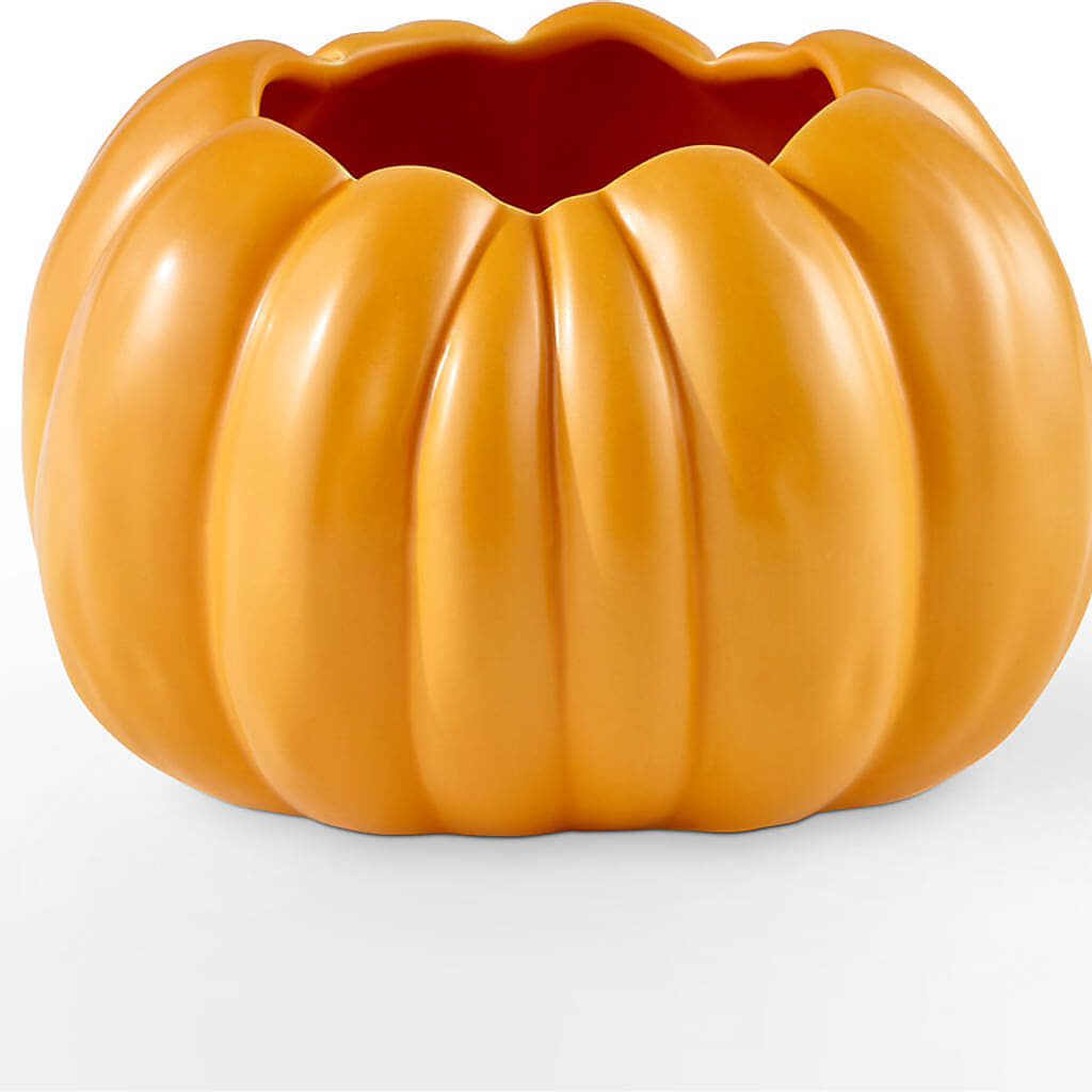 Golden Gourd Pumpkin Bouquet –  Blooming Designs By Michelle, Oakdale MN