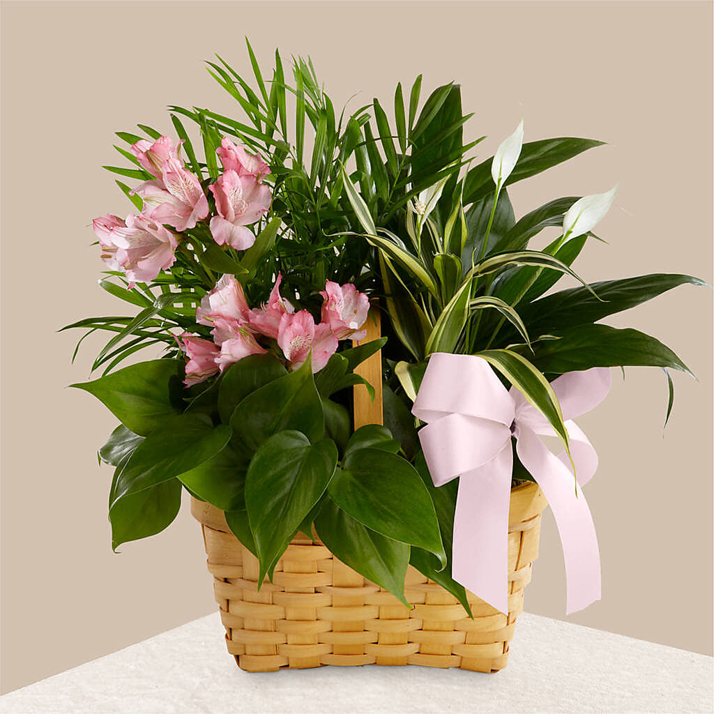 Living Spirit Dishgarden –  Blooming Designs By Michelle, Oakdale MN