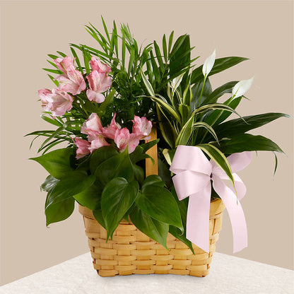 Living Spirit Dishgarden –  Blooming Designs By Michelle, Oakdale MN