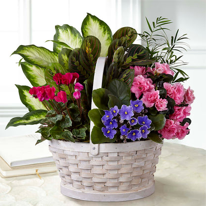 Peaceful Garden Planter –  Blooming Designs By Michelle, Oakdale MN