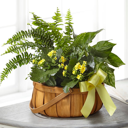 Always Dear Dishgarden –  Blooming Designs By Michelle, Oakdale MN