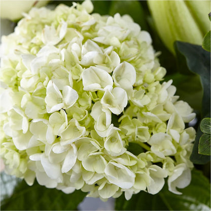 Classic Ivory – A Florist Original –  Blooming Designs By Michelle, Oakdale MN