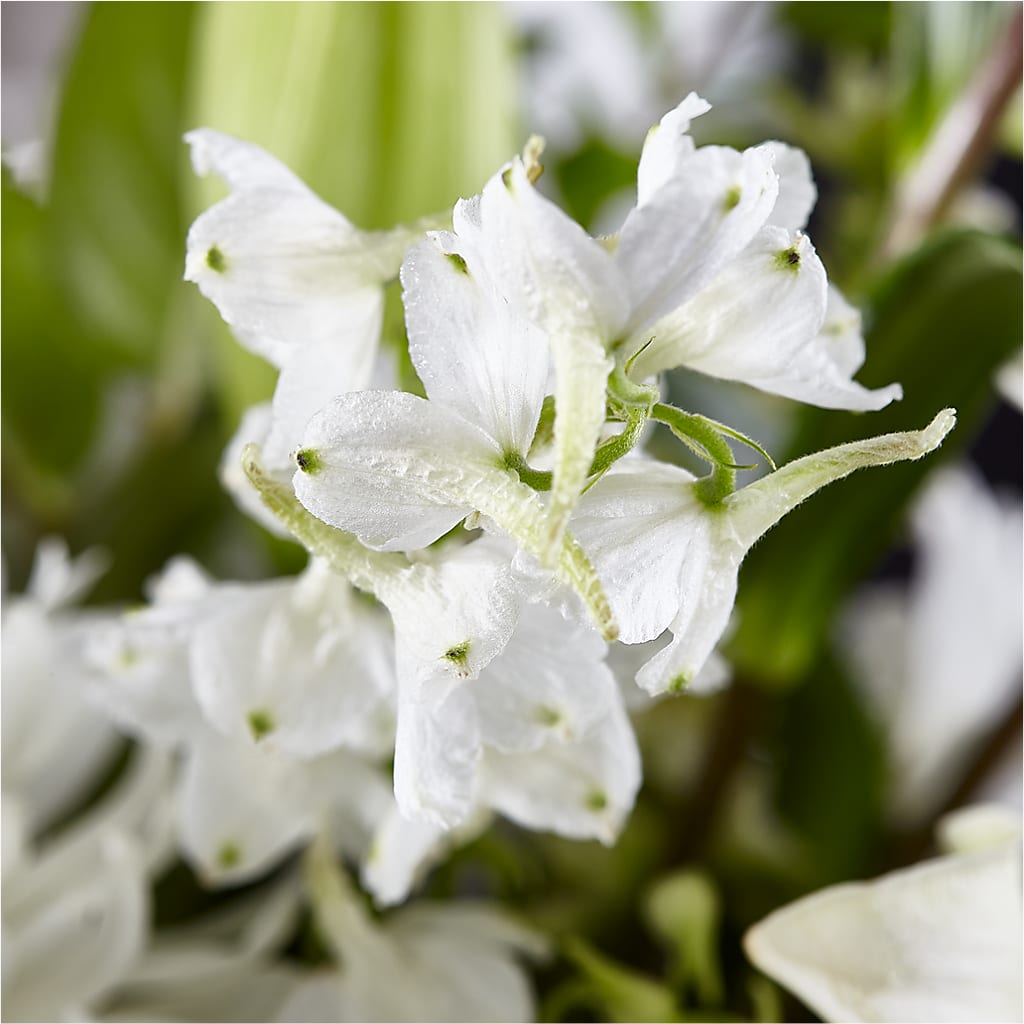 Classic Ivory – A Florist Original –  Blooming Designs By Michelle, Oakdale MN