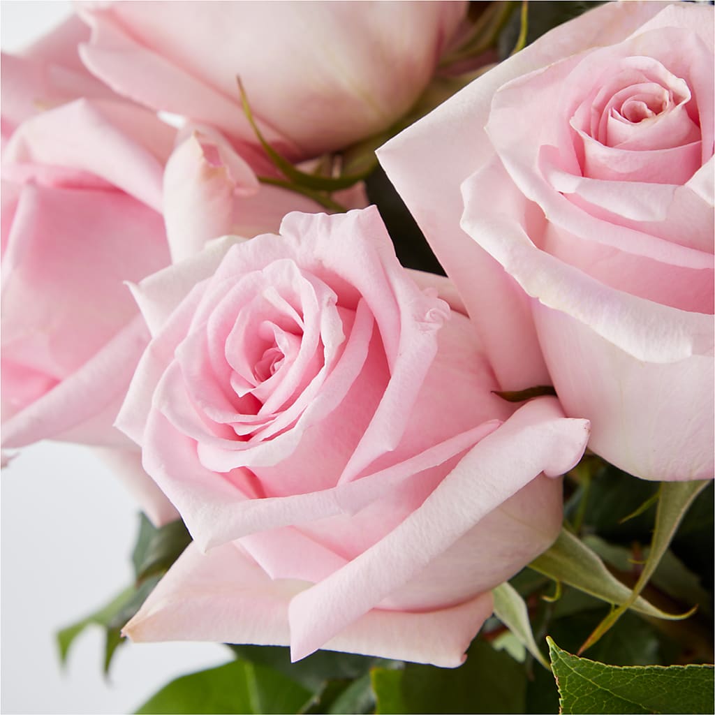 Picture Perfect Pink Rose Bouquet –  Blooming Designs By Michelle, Oakdale MN