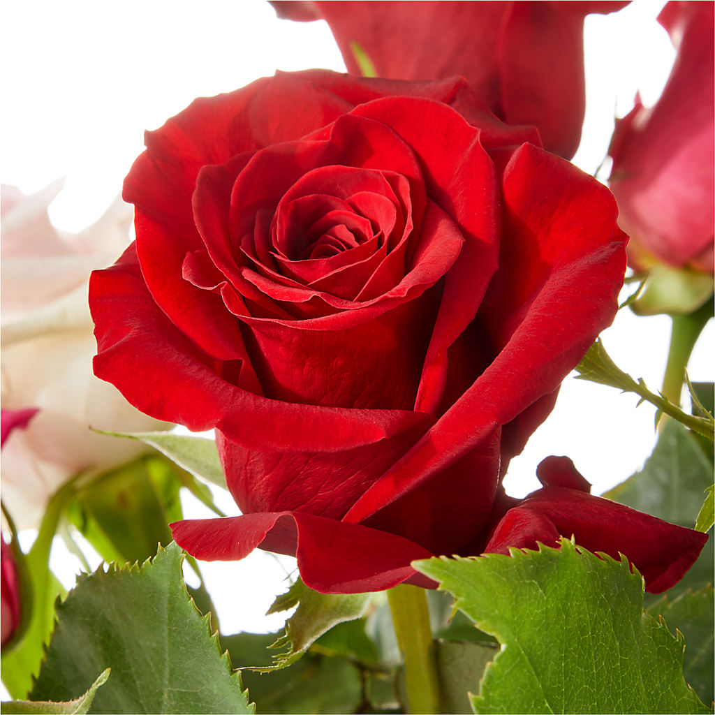 Love Notes Rose Bouquet –  Blooming Designs By Michelle, Oakdale MN