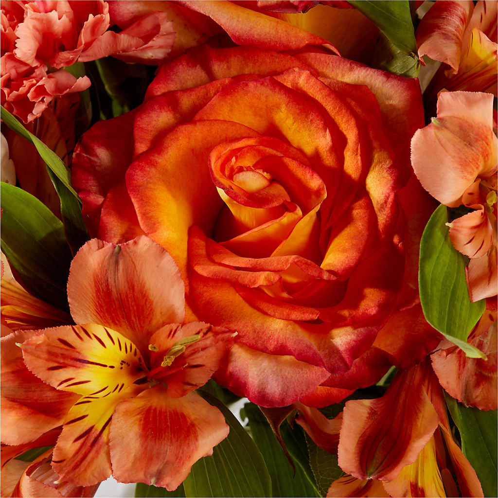 Apricot Glow Bouquet –  Blooming Designs By Michelle, Oakdale MN