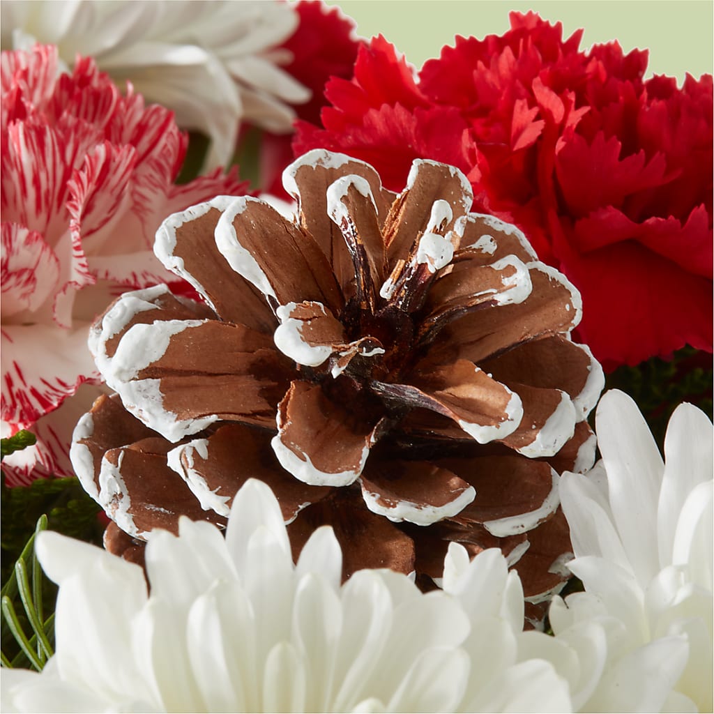 Candy Cane Lane Bouquet –  Blooming Designs By Michelle, Oakdale MN
