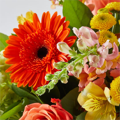 Autumn Sunshine Bouquet –  Blooming Designs By Michelle, Oakdale MN