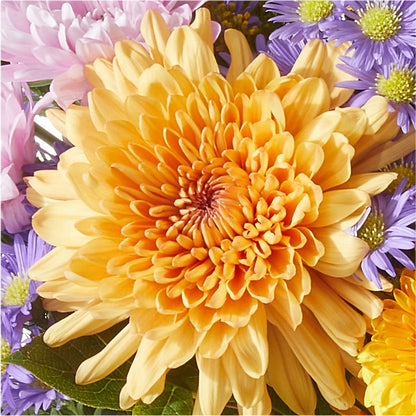 Countryside Bouquet –  Blooming Designs By Michelle, Oakdale MN