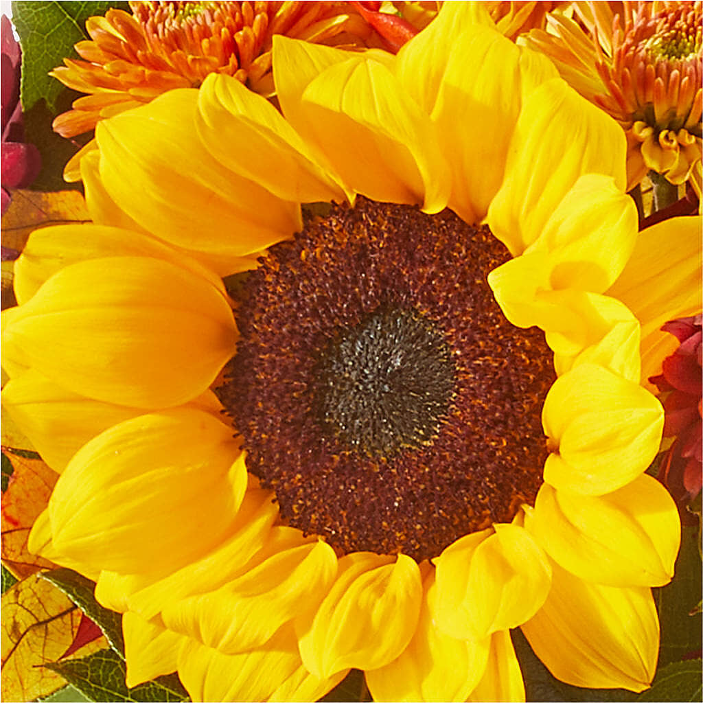 Sunny Side Bouquet –  Blooming Designs By Michelle, Oakdale MN