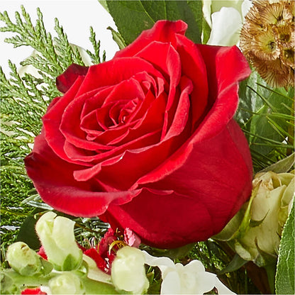Deck the Halls Bouquet –  Blooming Designs By Michelle, Oakdale MN