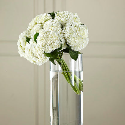 White Hydrangea Hand-Tied Bouquet –  Blooming Designs By Michelle, Oakdale MN