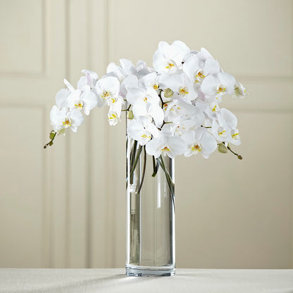 White Phalaenopsis Bouquet –  Blooming Designs By Michelle, Oakdale MN